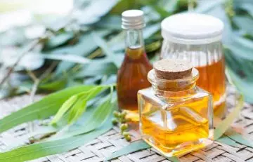 Eucalyptus oil to treat pneumonia