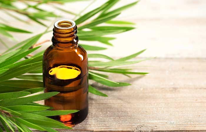 2. Tea Tree Oil