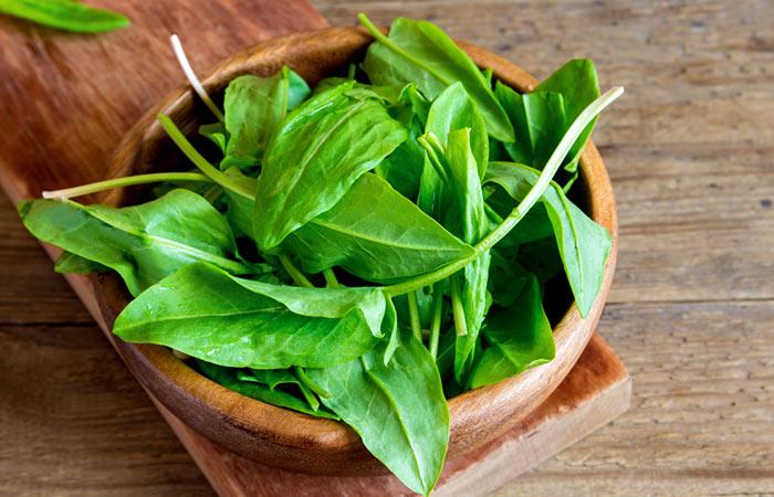 20.-Sorrel-Leaves-(Spinach-Dock)