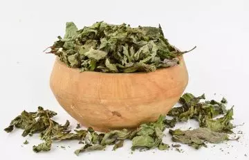 Mint leaves to stop vomiting