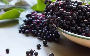 Elderberry to get rid of cough without medicine