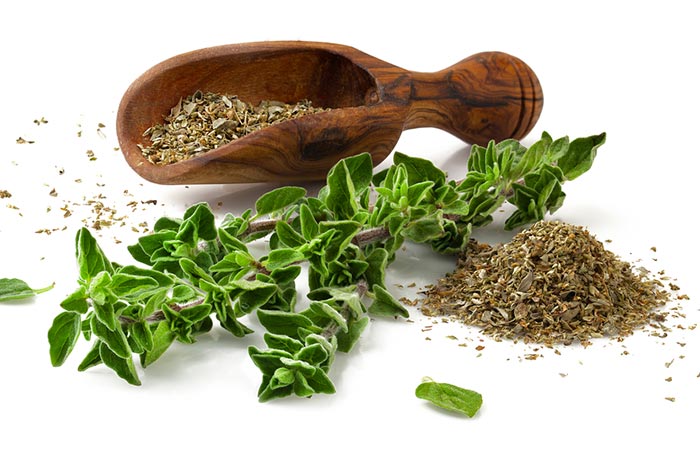 Oregano is an herb for diabetes