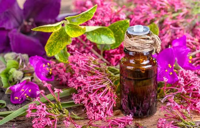 Clary sage oil as home remedy for vertigo