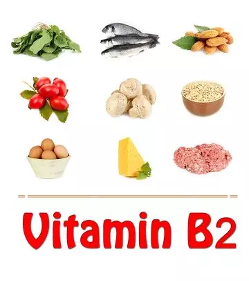 Vitamin-B2-Rich-Foods-You-Should-Include-In-Your-Diet