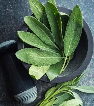 What Is The Use Of Sage Is It An Herb Or A Spice