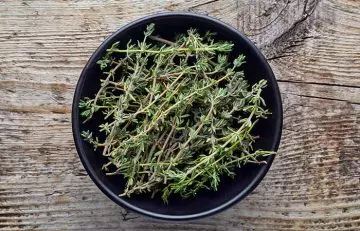 Thyme herb for chest congestion