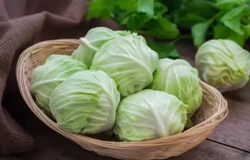 Cabbage leaves as home remedy for swollen feet
