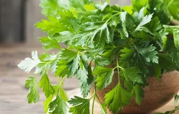 Parsley for reducing body odor