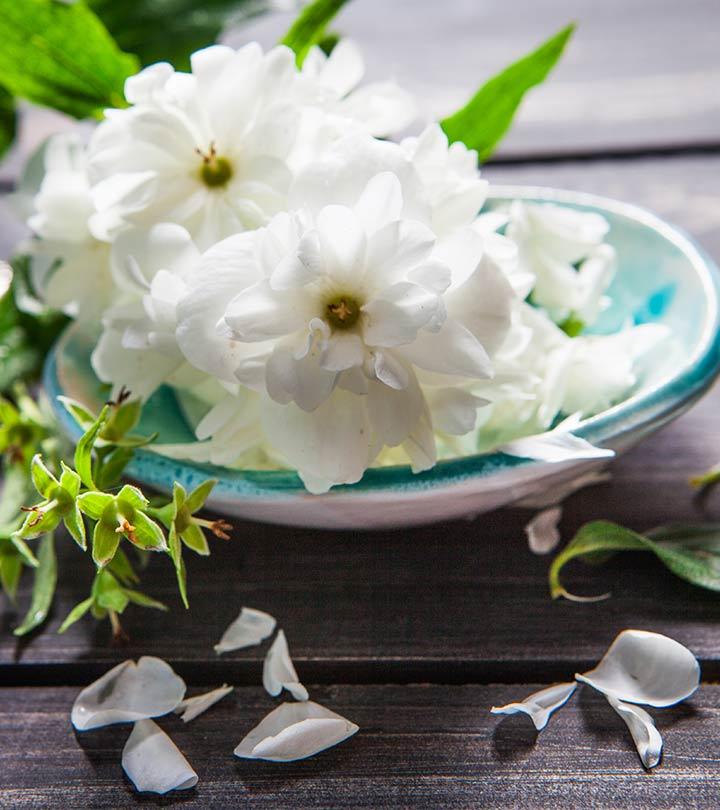 28 Amazing Benefits Of Arabian Jasmine For Skin, Hair, And 