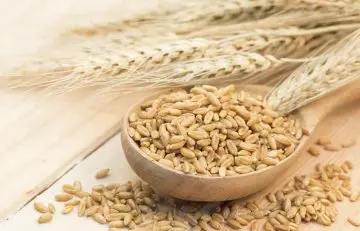 Barley among foods high in manganese