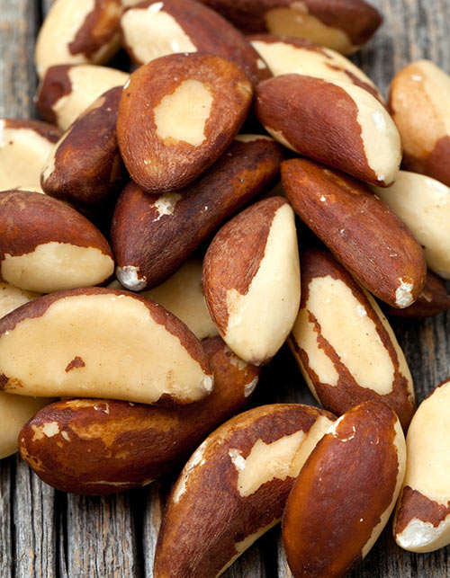 Foods High In Saturated Fats - Brazil-Nuts