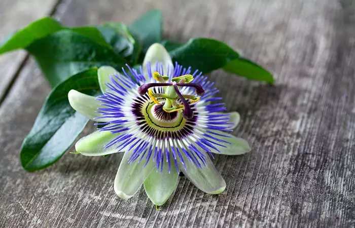 Passion flower for hot flashes