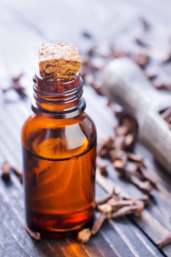 Clove oil as home remedy for toothache