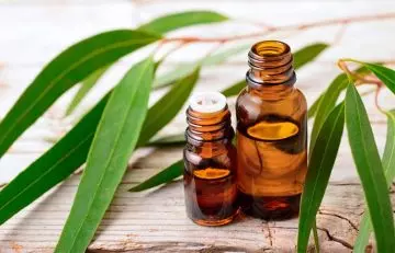 Ways to relieve TMJ pain with eucalyptus oil