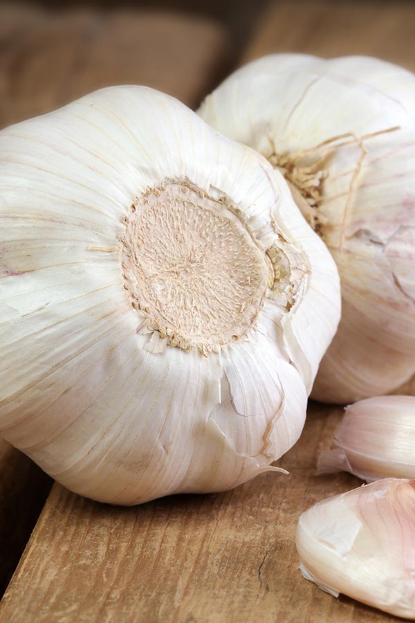 Garlic clove as home remedy for toothache