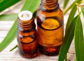 10 Health Benefits Of Eucalyptus Oil And How To Use It