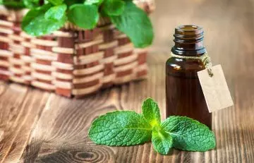 Peppermint oil for knee joint pain