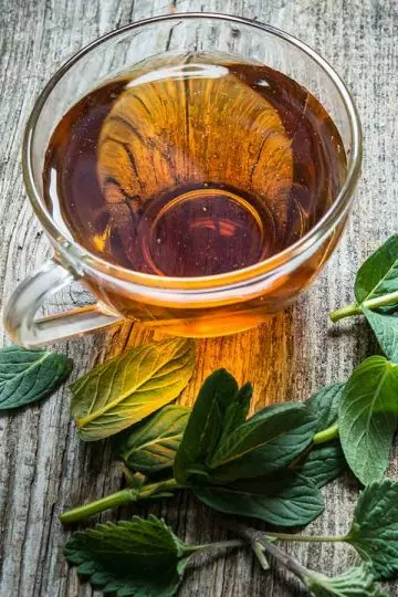 Peppermint tea as home remedy for toothache