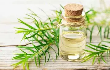 Tea tree oil as a remedy for hives