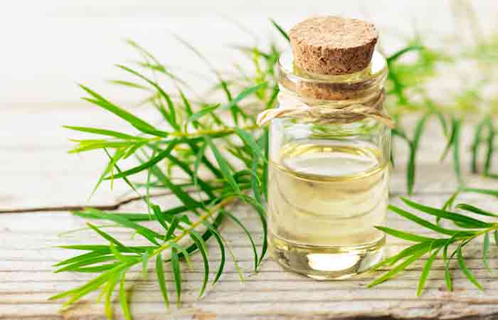 Tea tree oil as a remedy for hives