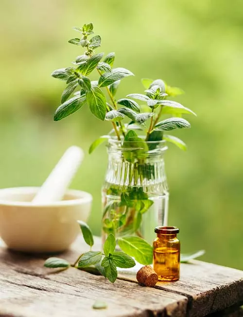 Peppermint oil for skin itching
