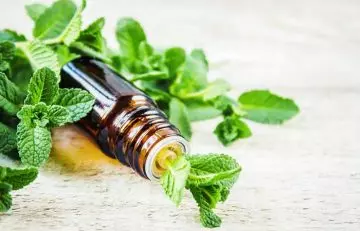 Peppermint oil for hot flashes