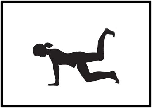 Donkey Kick Exercises - basic donkey kick