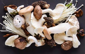25 healthy and tasty recipes with mushrooms