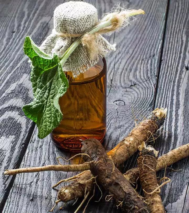 8 Benefits Of Burdock Root Nutritional Facts Side Effects