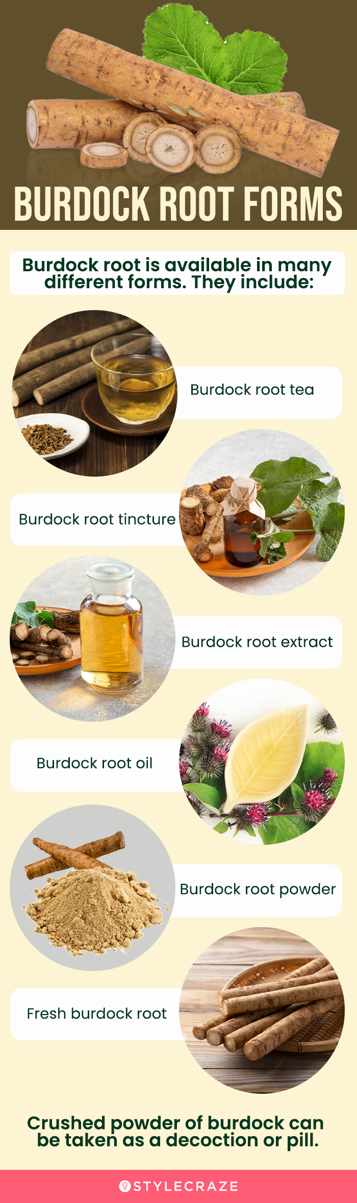 burdock root forms [infographic]