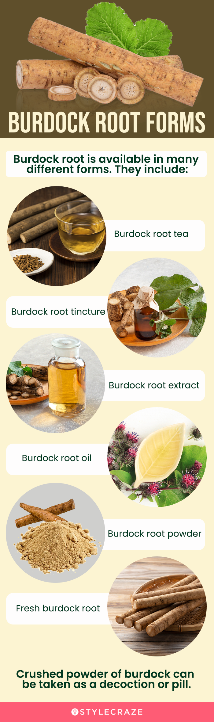 8 Benefits Of Burdock Root Nutritional