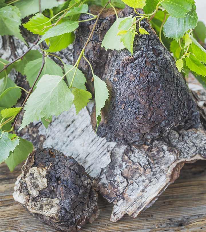 Chaga Nutritional Chart