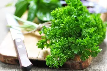 Crushed Parsley