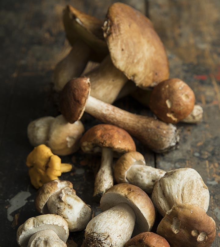 Mushroom Allergy Symptoms: Causes And Treatment Methods