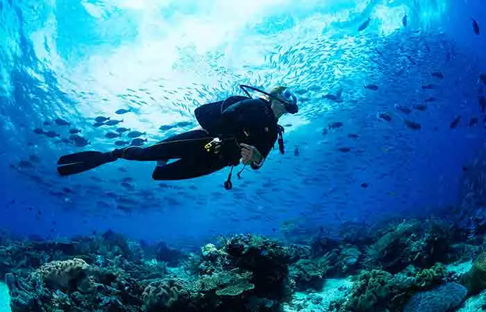 Person doing scuba diving