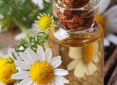 15 Amazing Benefits Of Chamomile Oil For Skin, Health And Hair