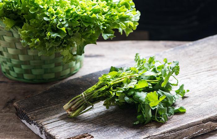 17.-Coriander-Leaves-For-Moles