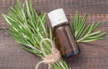 Rosemary essential oil for leg ulcers