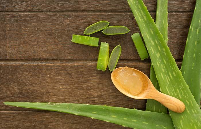 Aloe Vera