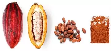 Processing of cacao