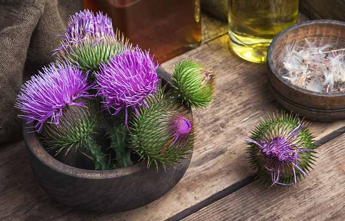 Milk thistle for cirrhosis of liver