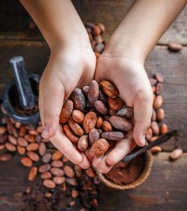 Why Should You Choose Cacao Over Coco...
