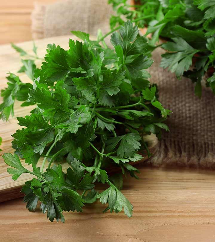 Can I Eat Cilantro While Pregnant? 