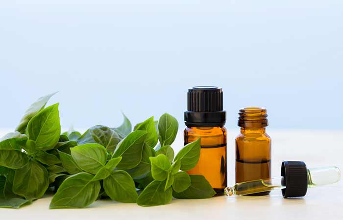 Basil essential oil to get rid of lethargy and laziness