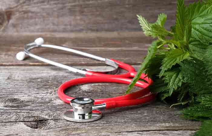 Stinging nettle leaves can be beneficial for overall health.
