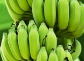 Green Bananas: Health Benefits, Nutrition Facts, And How To Eat