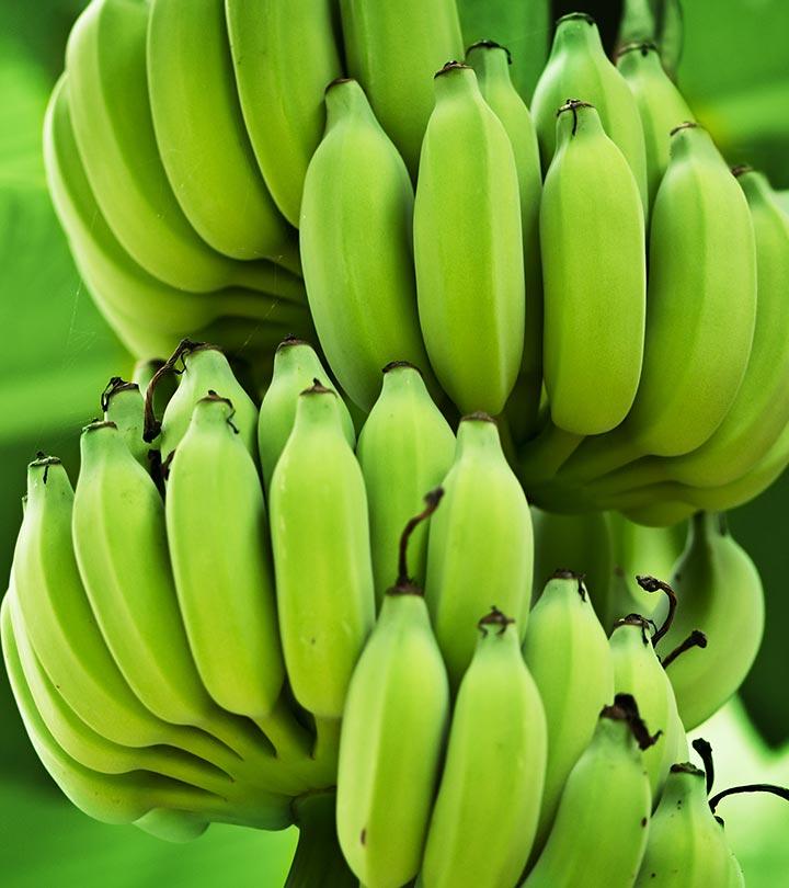 Robusta Banana For Babies