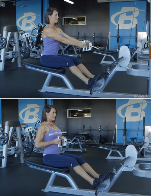 Seated cable row upper body exercise