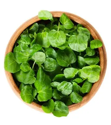 8 Health Benefits Of Watercress, Nutrition, And Side Effects