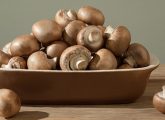 10 Serious Side Effects Of Mushrooms On Your Health (Must Know)